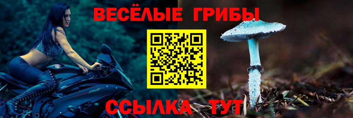 Железногорск  Галлюциногенные грибы прущие грибы  Вход с VPN 